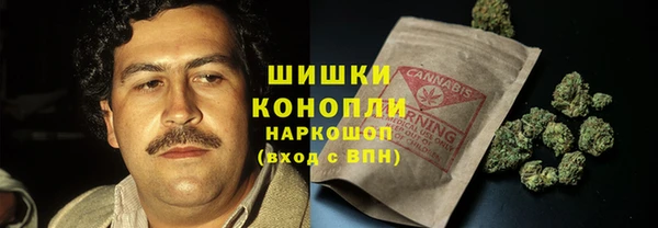 винт Белокуриха