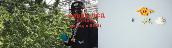 PSILOCYBIN Богородицк