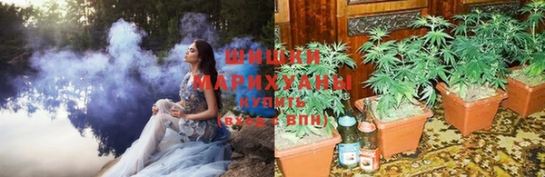 трава Богданович