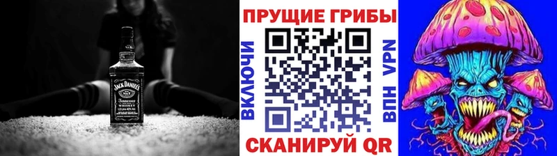где купить   Велиж  Галлюциногенные грибы Cubensis 
