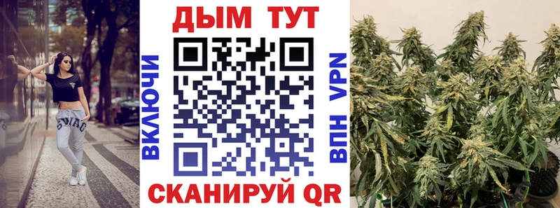 blacksprut ссылки  Велиж  Шишки марихуана LSD WEED 